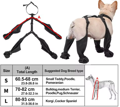 Botas-arnés impermeables para perro, vista 5